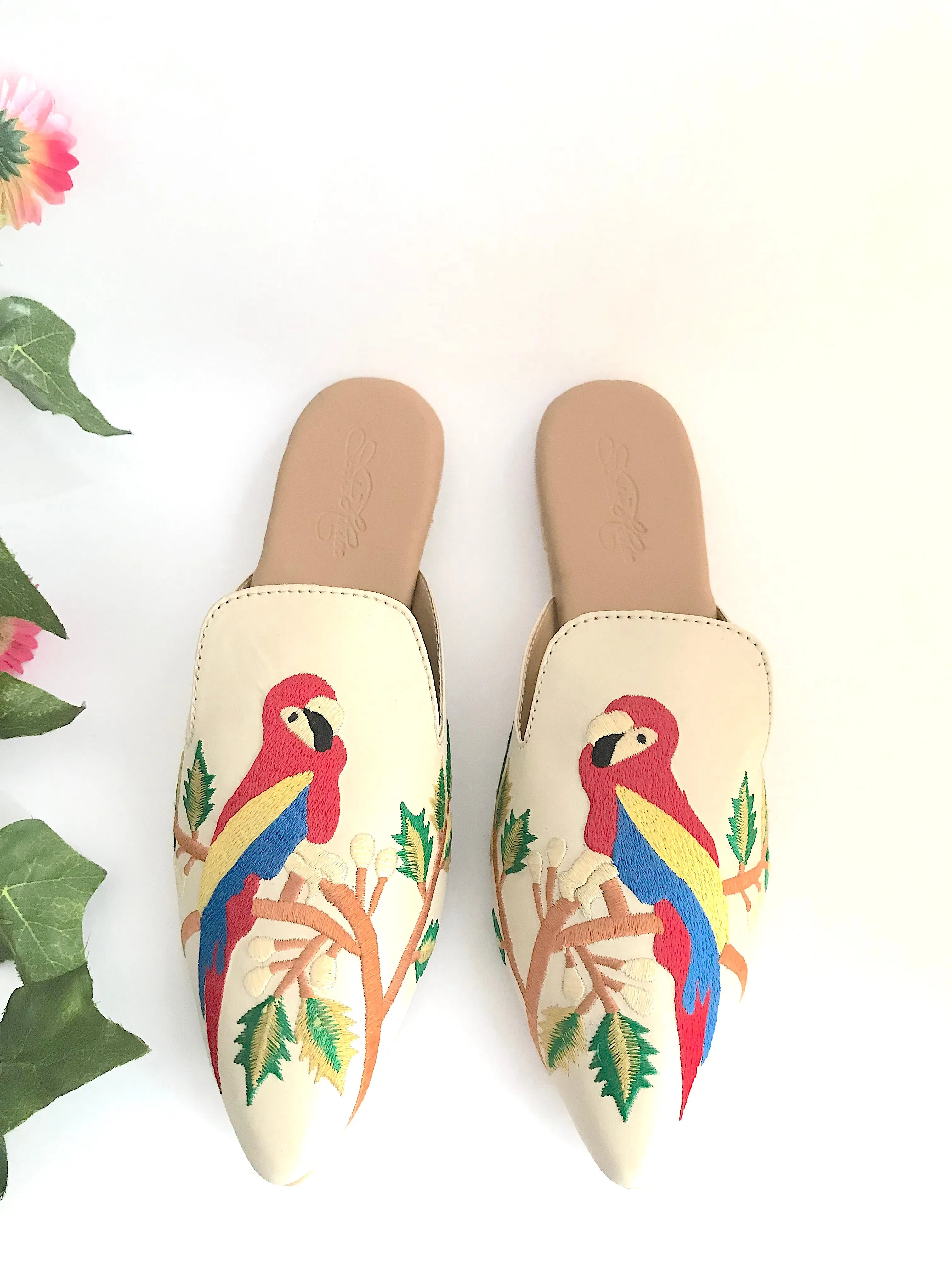 Parakeet Mules